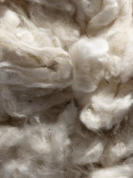 Harnest+Organic+Cotton+Inputs+1